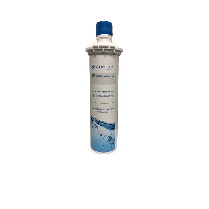 10″ Pleated 1 Micron Filter